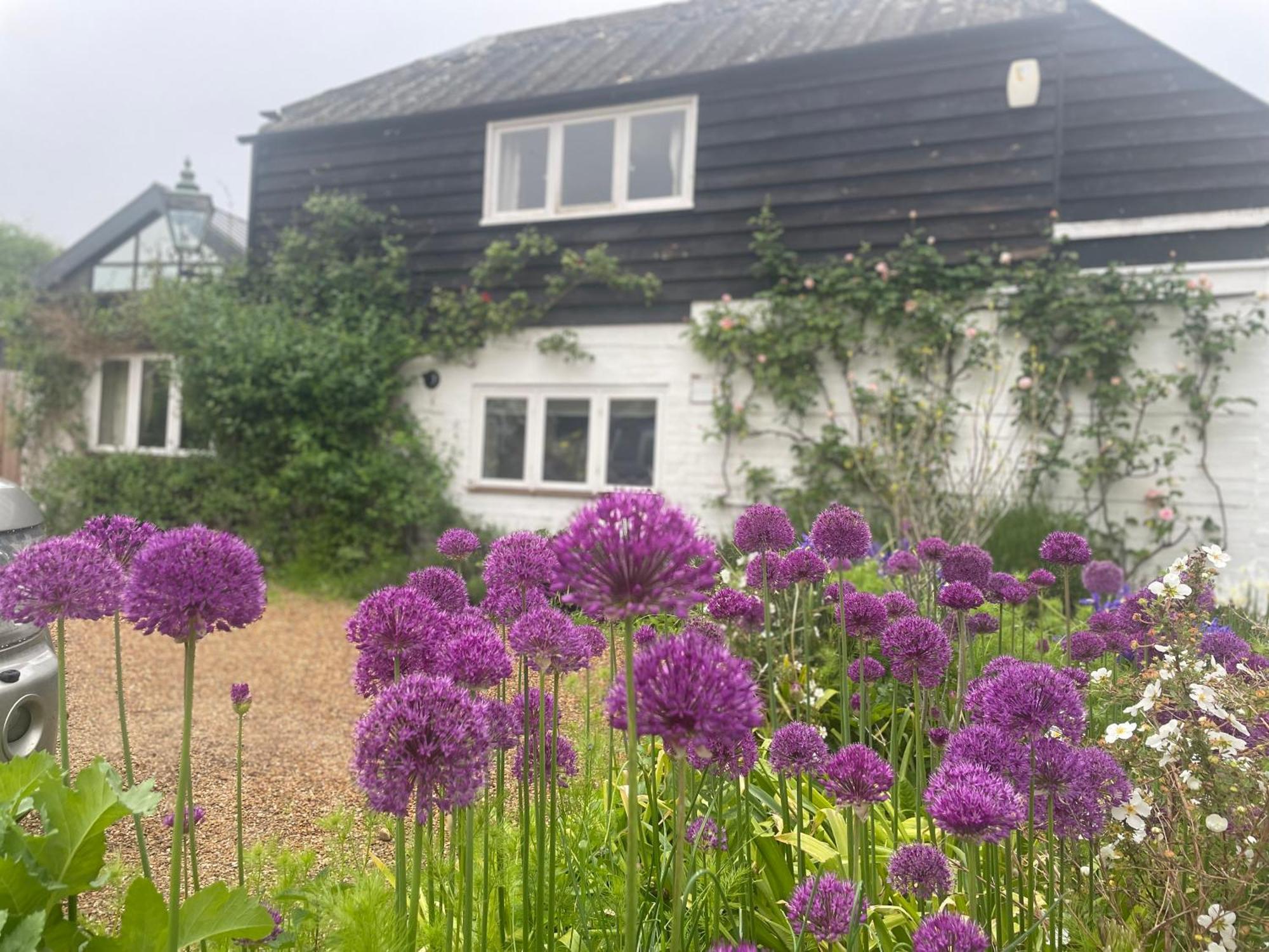 Beautifully Appointed One-Bedroom Cottage Shepreth Eksteriør billede